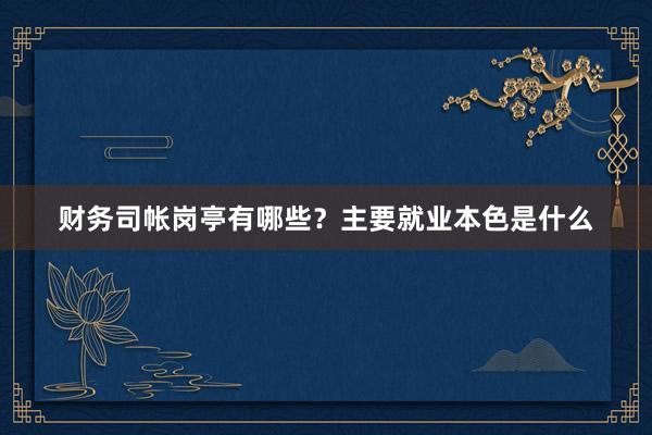 财务司帐岗亭有哪些？主要就业本色是什么