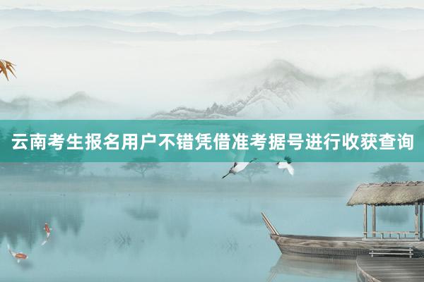 云南考生报名用户不错凭借准考据号进行收获查询