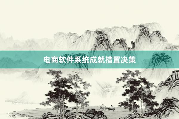 电商软件系统成就措置决策