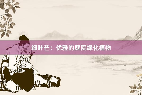 细叶芒：优雅的庭院绿化植物