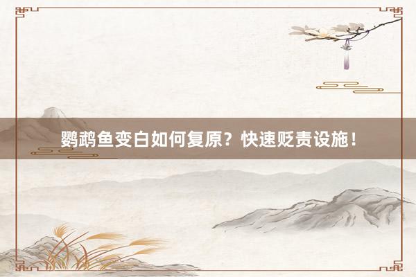 鹦鹉鱼变白如何复原？快速贬责设施！